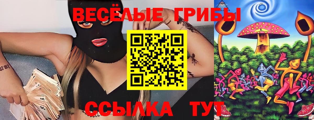 Галлюциногенные грибы прущие грибы Воскресенск